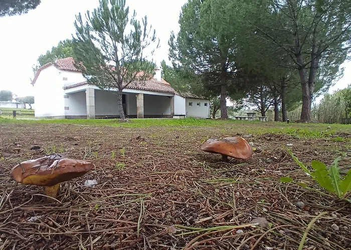 Semesterbostad Casa De